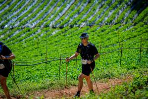 BIB: 
                            <button type="button" onclick="openModal(19164718)" class="btn btn-primary btn-sm float-right btn-popup" data-toggle="modal" data-target=".modal-high-quality">
                        <i class="fas fa-shopping-cart"></i> Add to Cart
                    </button>
                                            <button type="button" onclick="isThisMe(19164718, true)" class="btn btn-success btn-sm float-right btn-popup btn-isme hidden" data-toggle="tooltip" data-placement="bottom" title="นี่คือรูปของคุณใช่ไหม คลิกที่นี่เพื่อเอาเข้าอัลบั้ม">
                        <i class="fas fa-plus"></i> Add to album
                    </button>
                    <button type="button" onclick="isThisMe(19164718, false)" class="btn btn-warning btn-sm float-right btn-popup btn-isnotme hidden">
                        <i class="fas fa-ban"></i> Remove from album
                    </button>